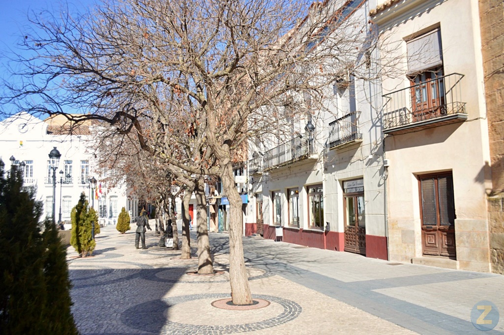 ob.imagen.Descripcion