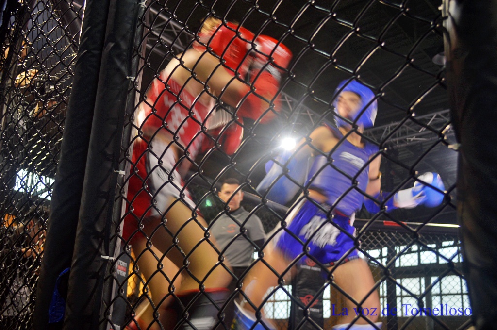 ob.imagen.Descripcion