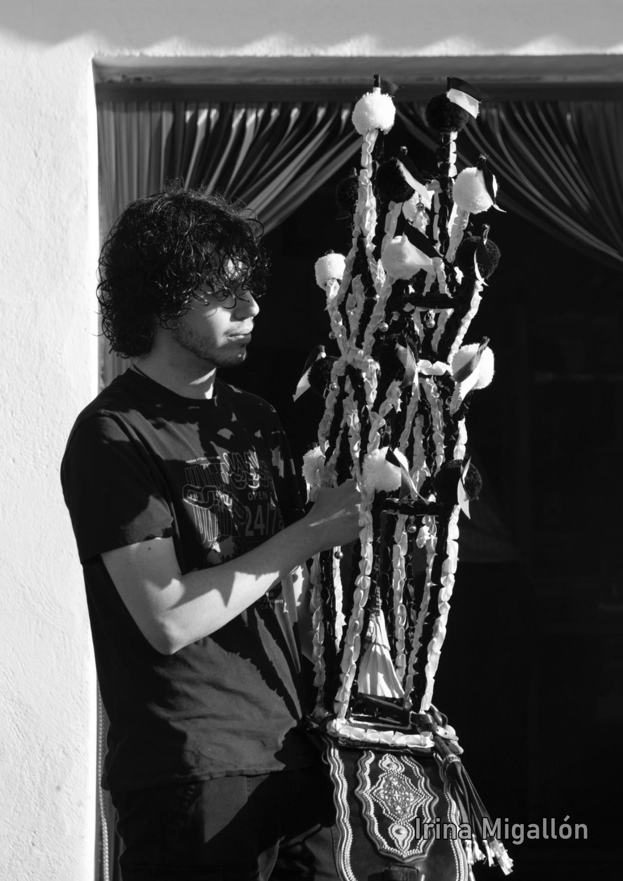 ob.imagen.Descripcion