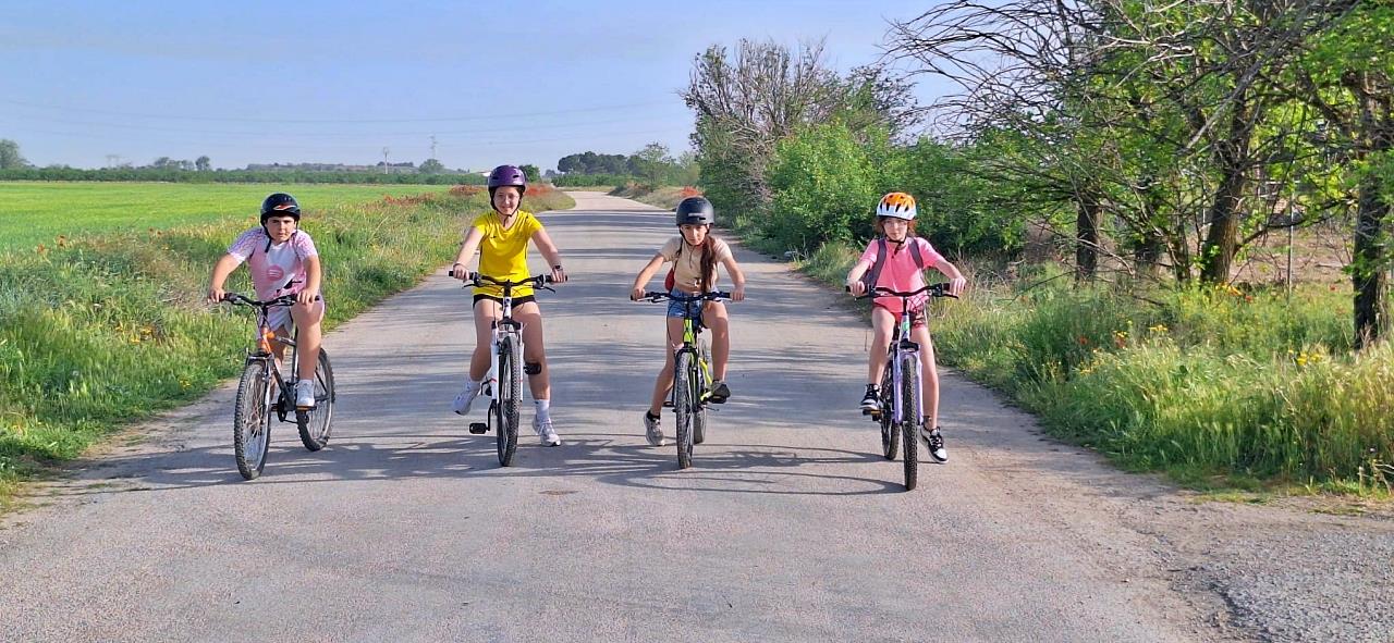 ob.imagen.Descripcion