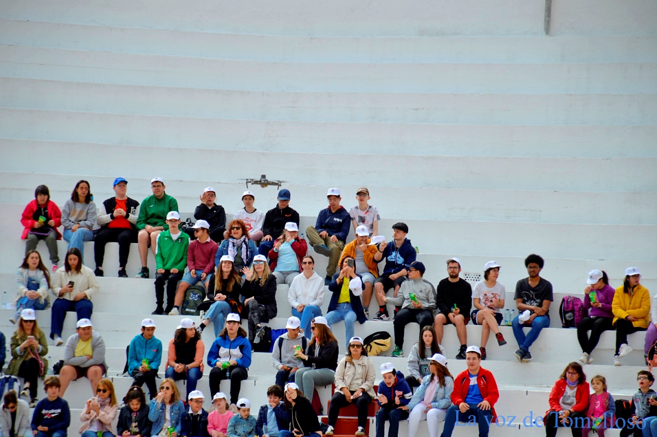 ob.imagen.Descripcion