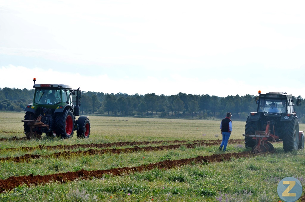 ob.imagen.Descripcion