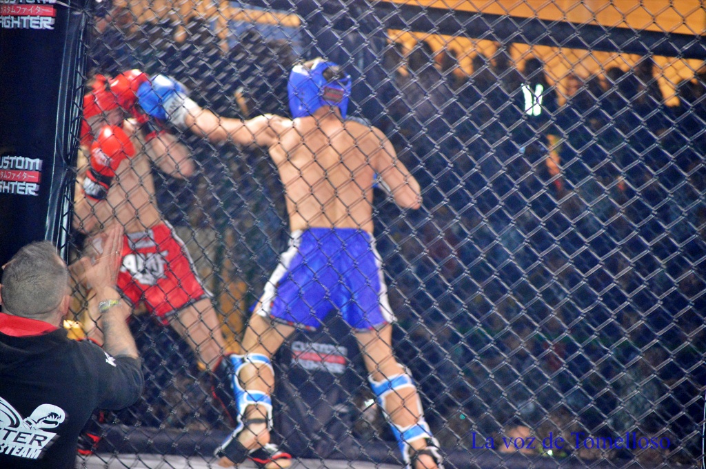 ob.imagen.Descripcion