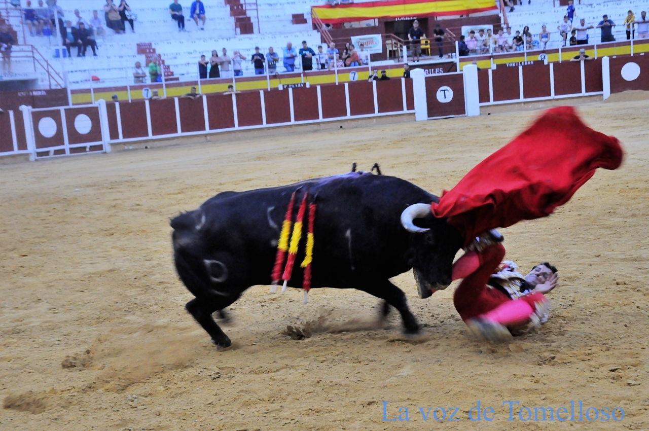 ob.imagen.Descripcion