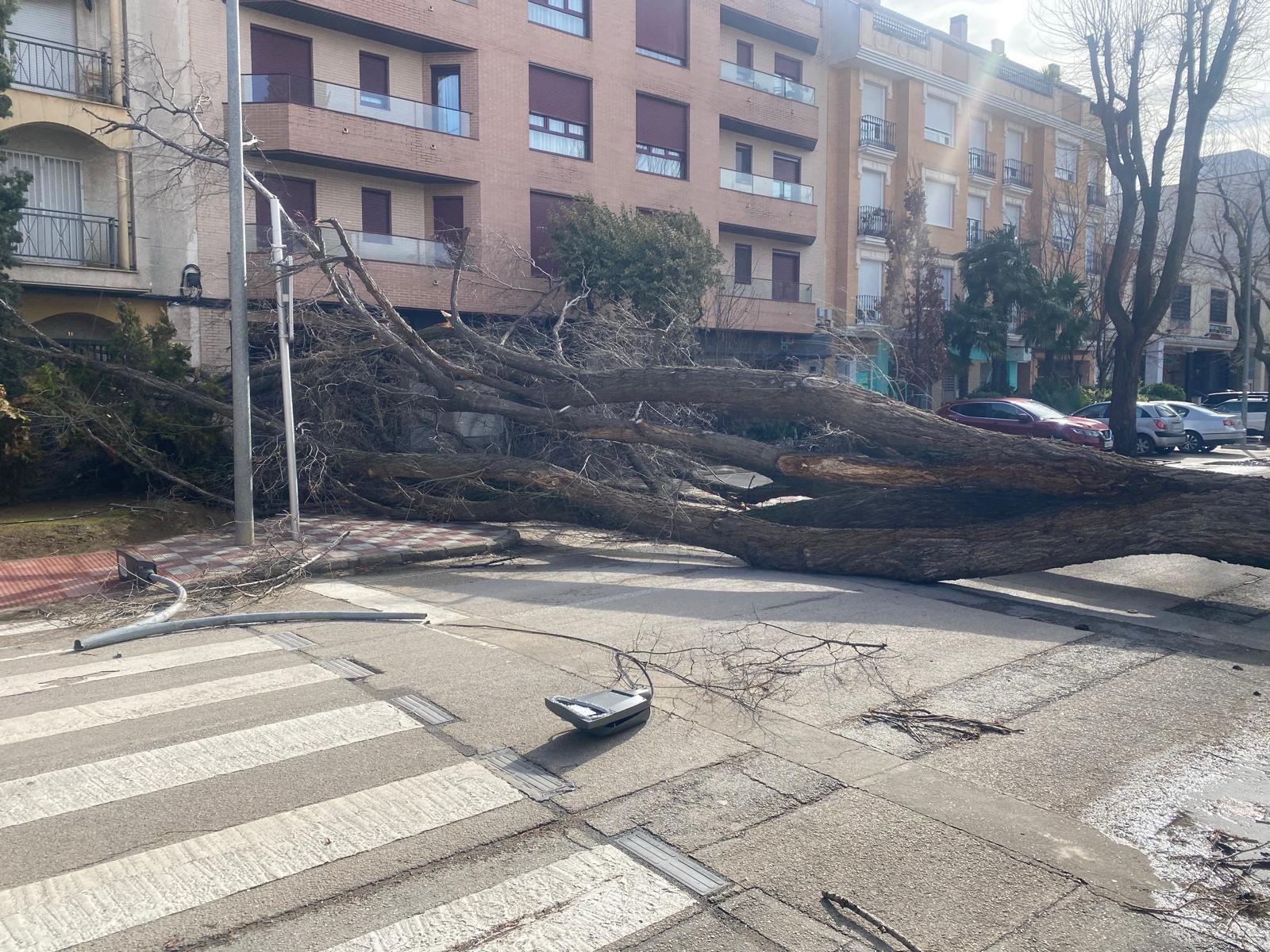 ob.imagen.Descripcion