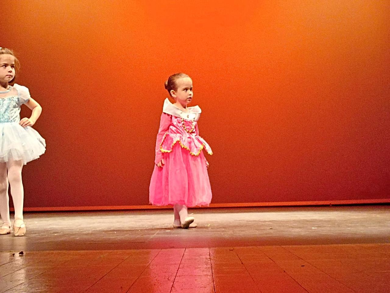 ob.imagen.Descripcion