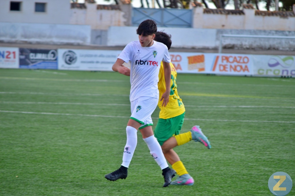 ob.imagen.Descripcion