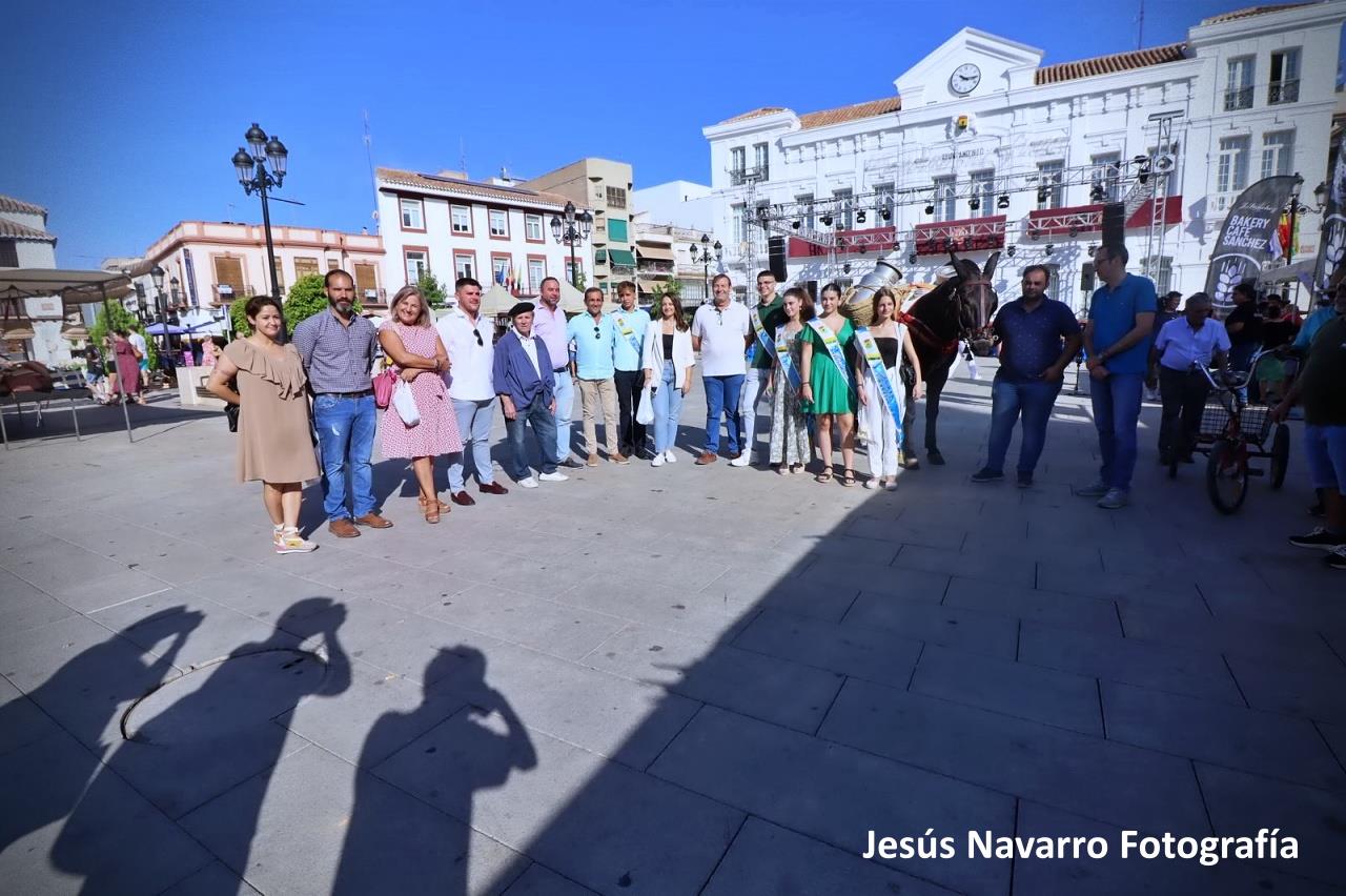 ob.imagen.Descripcion