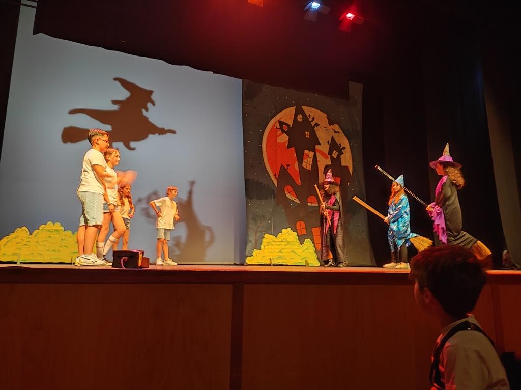 ob.imagen.Descripcion