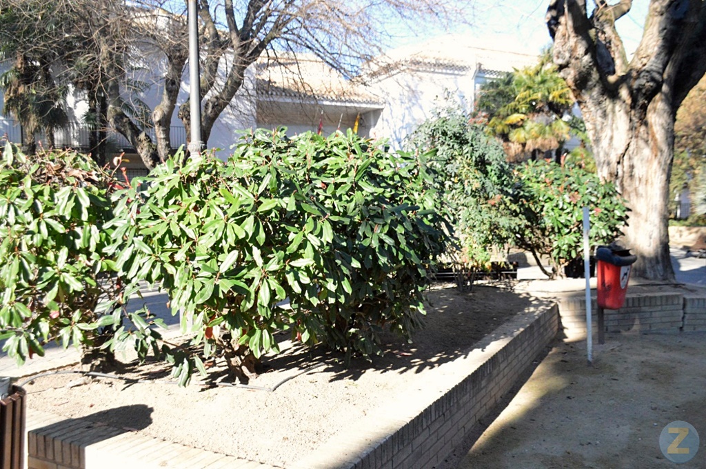 ob.imagen.Descripcion