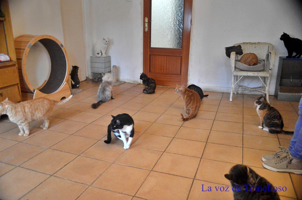 ob.imagen.Descripcion