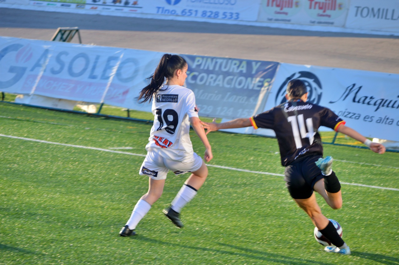 ob.imagen.Descripcion