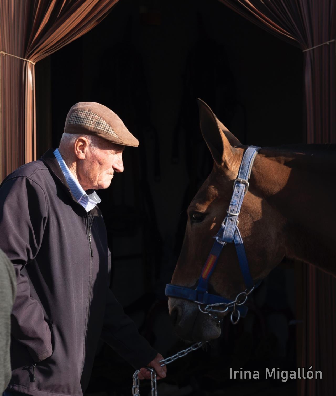 ob.imagen.Descripcion