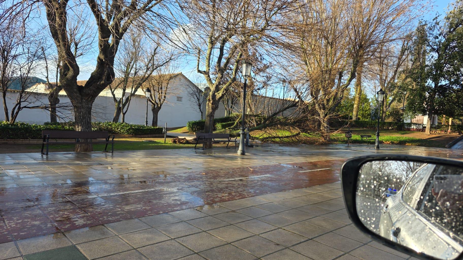 ob.imagen.Descripcion