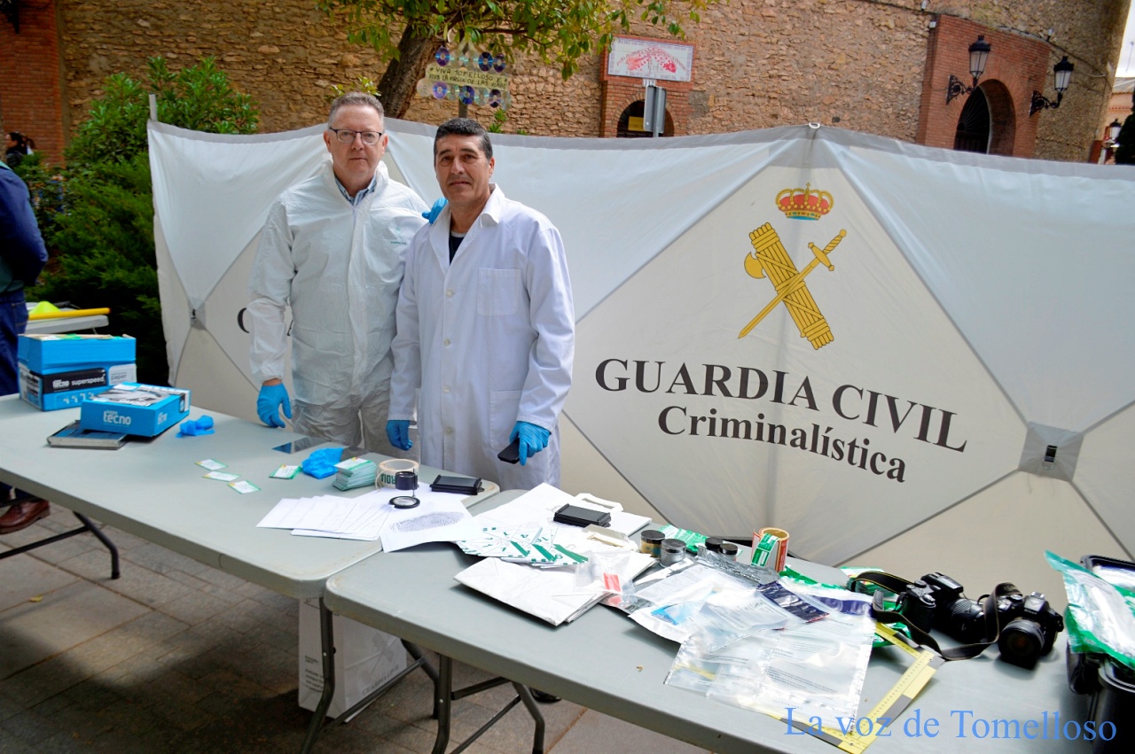 ob.imagen.Descripcion