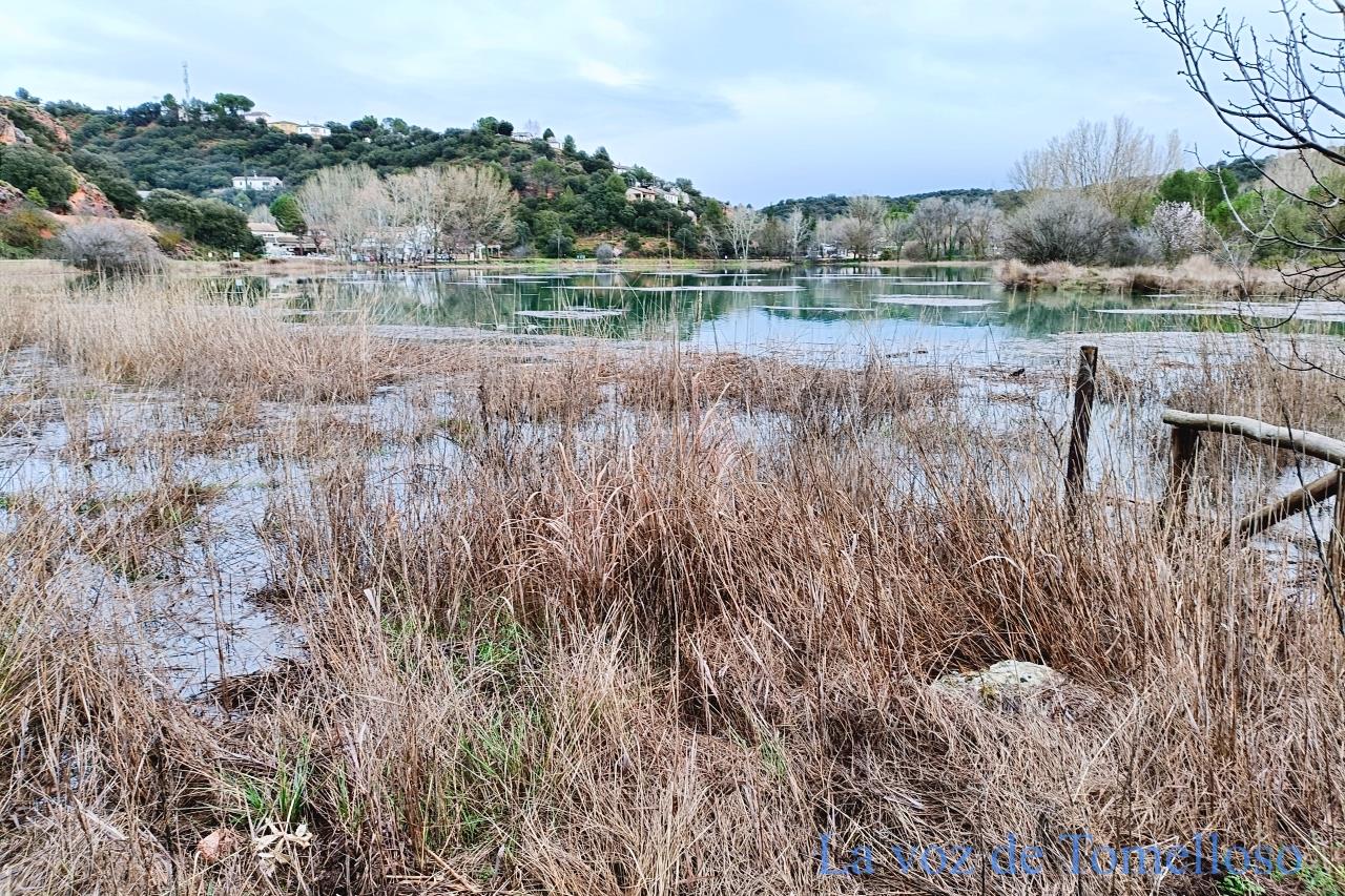 ob.imagen.Descripcion