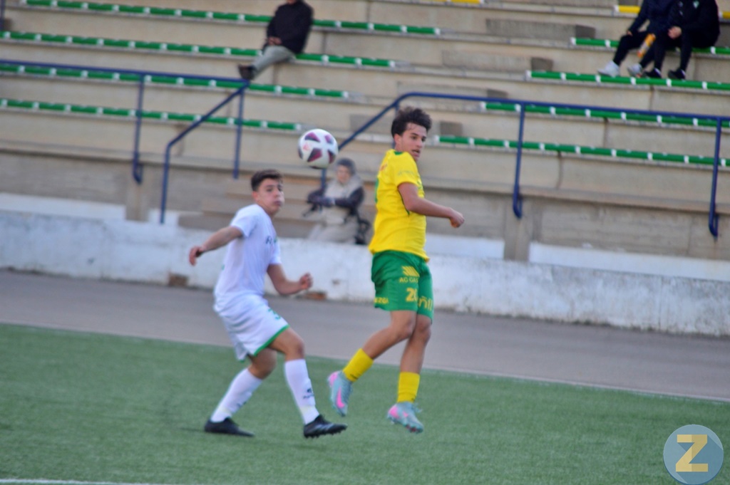 ob.imagen.Descripcion