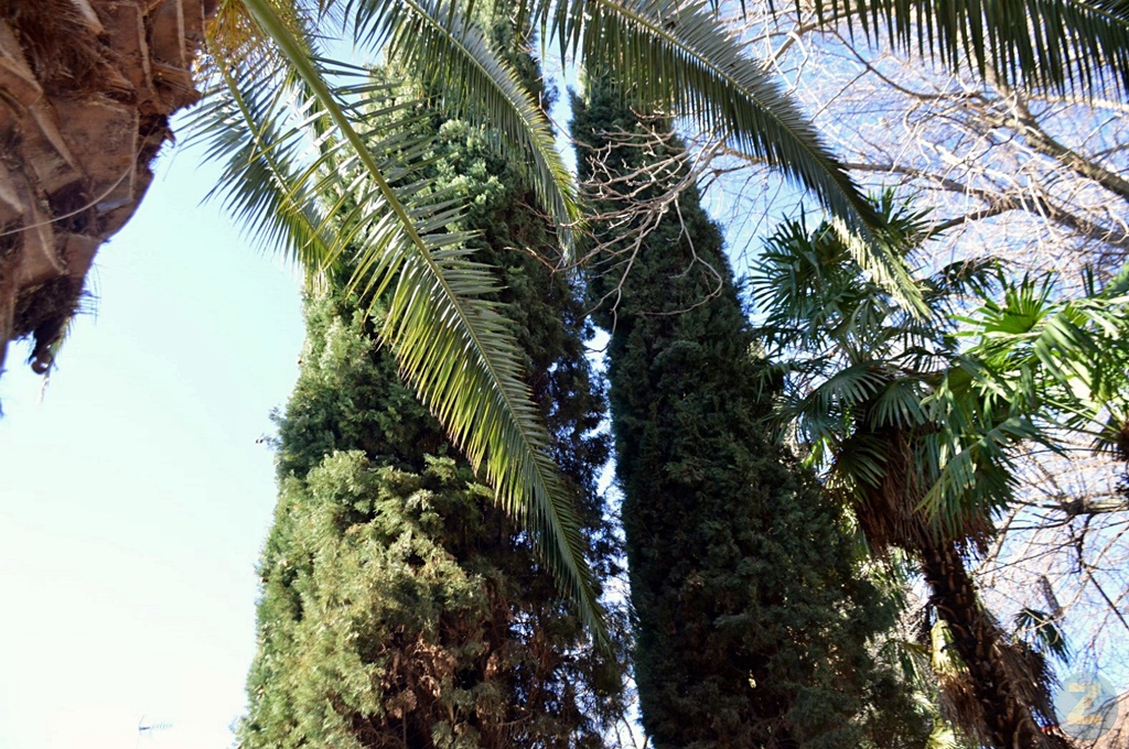 ob.imagen.Descripcion