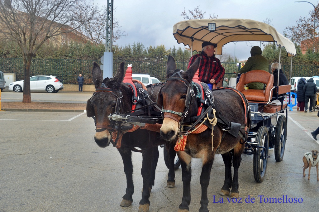 ob.imagen.Descripcion