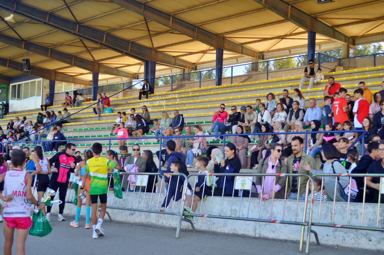 ob.imagen.Descripcion