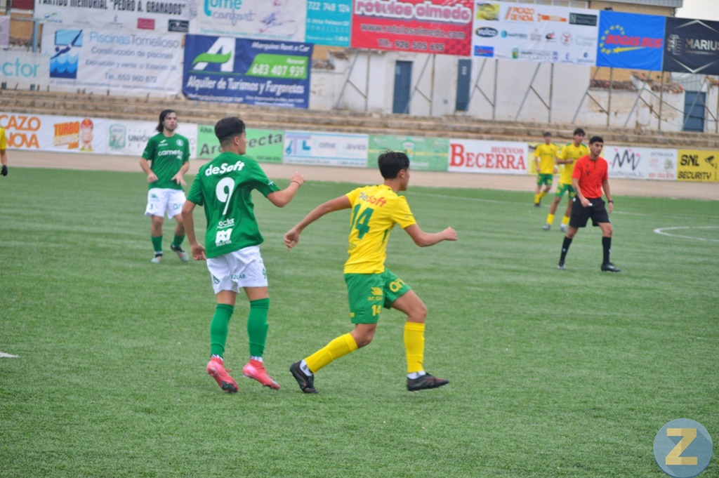 ob.imagen.Descripcion