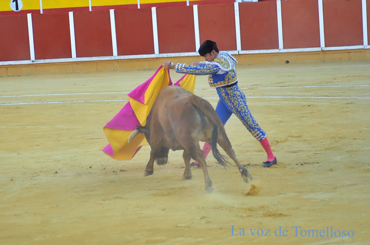 ob.imagen.Descripcion