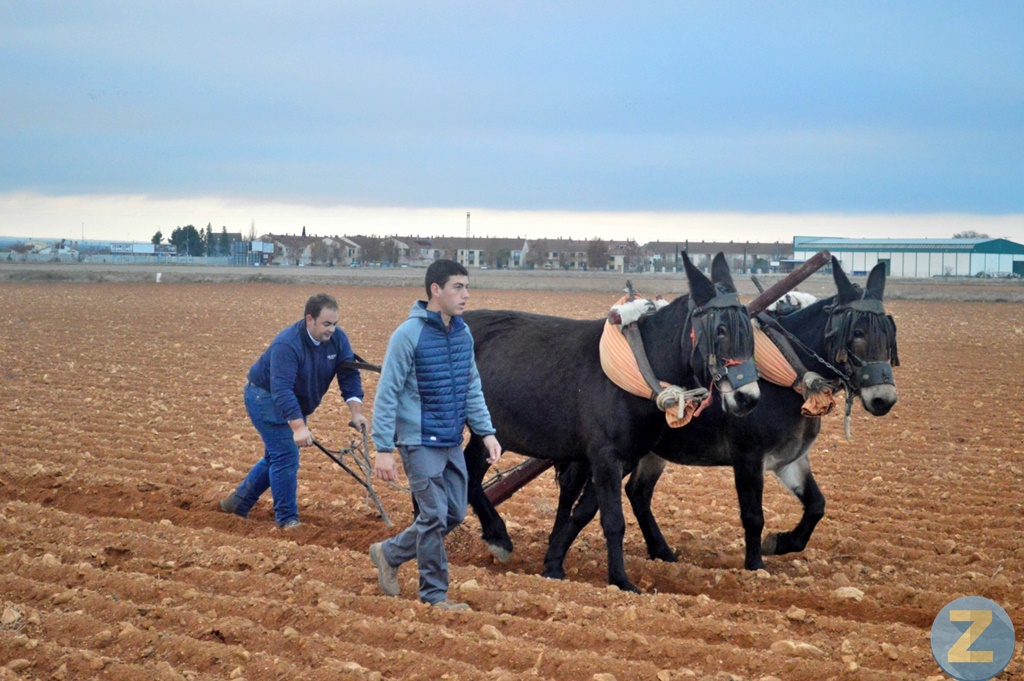 ob.imagen.Descripcion