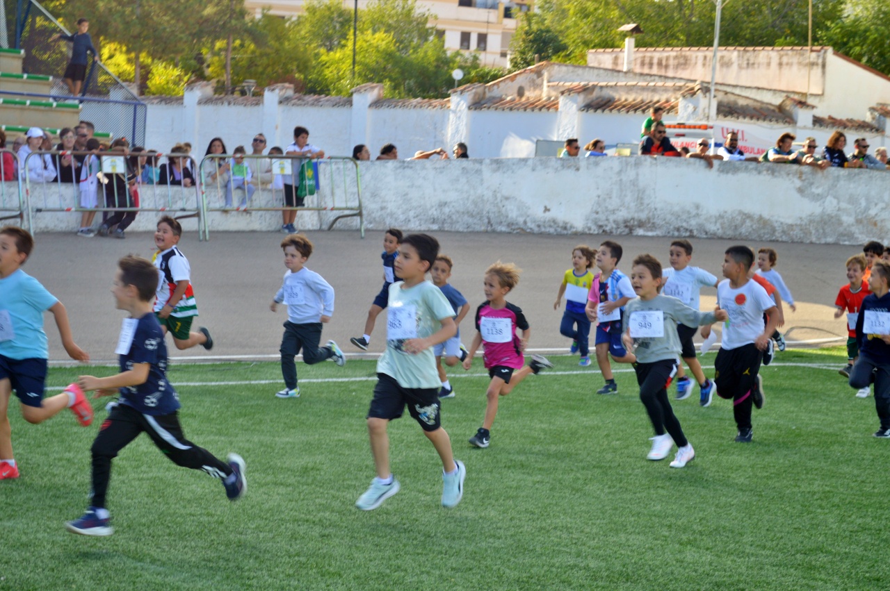 ob.imagen.Descripcion