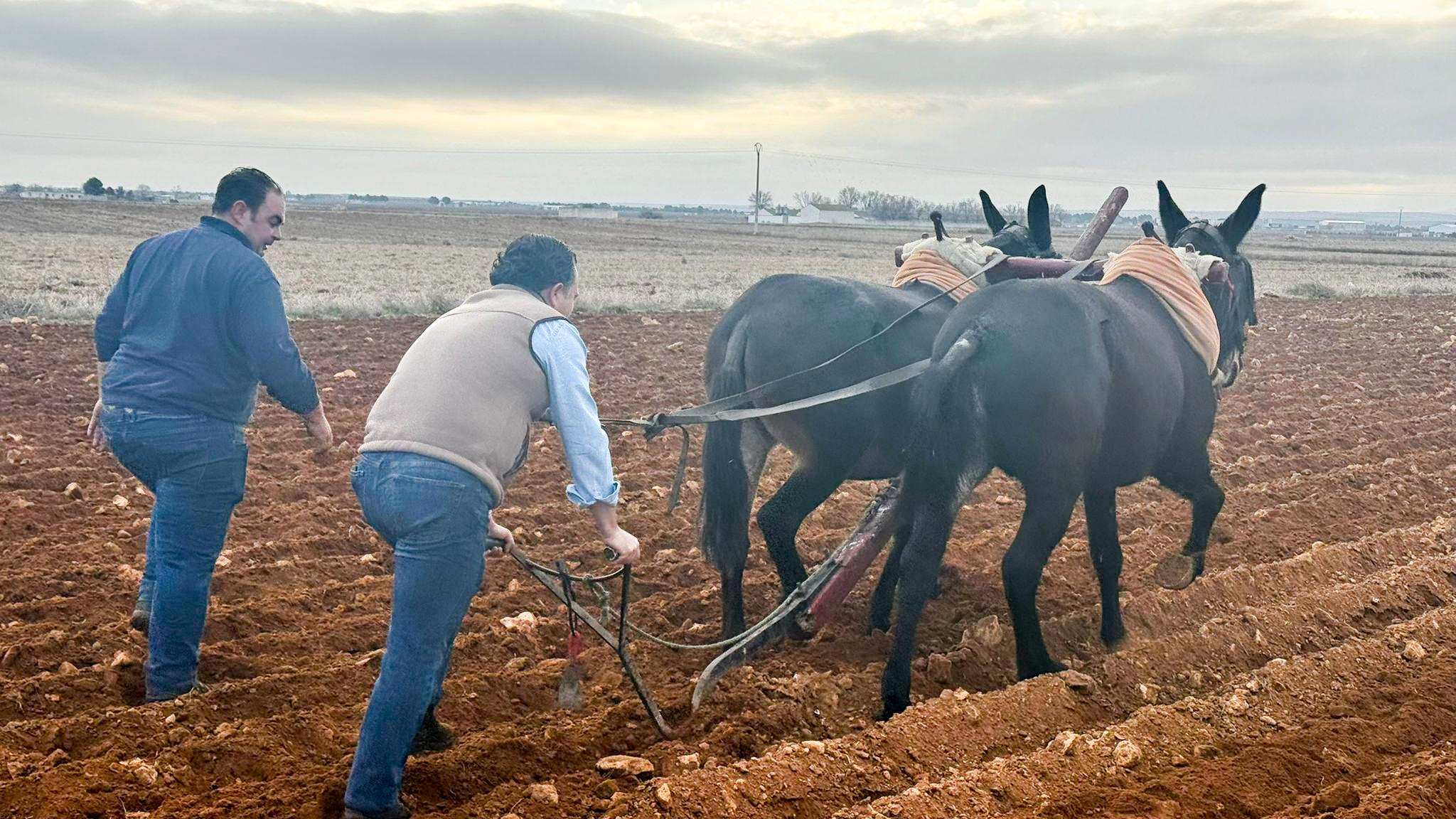 ob.imagen.Descripcion