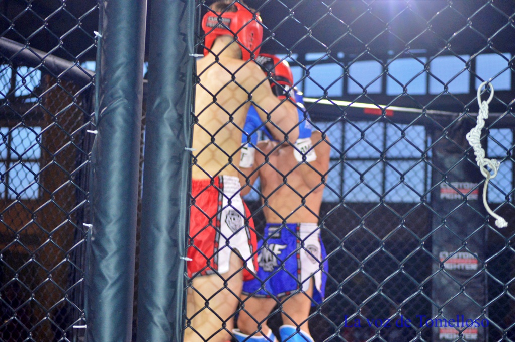 ob.imagen.Descripcion