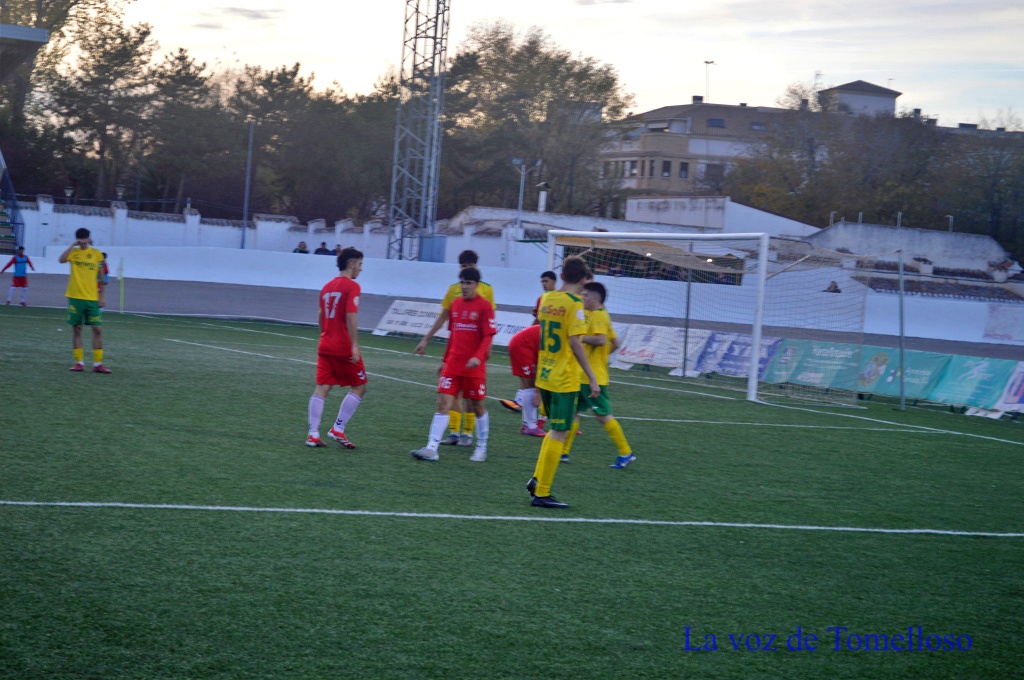 ob.imagen.Descripcion