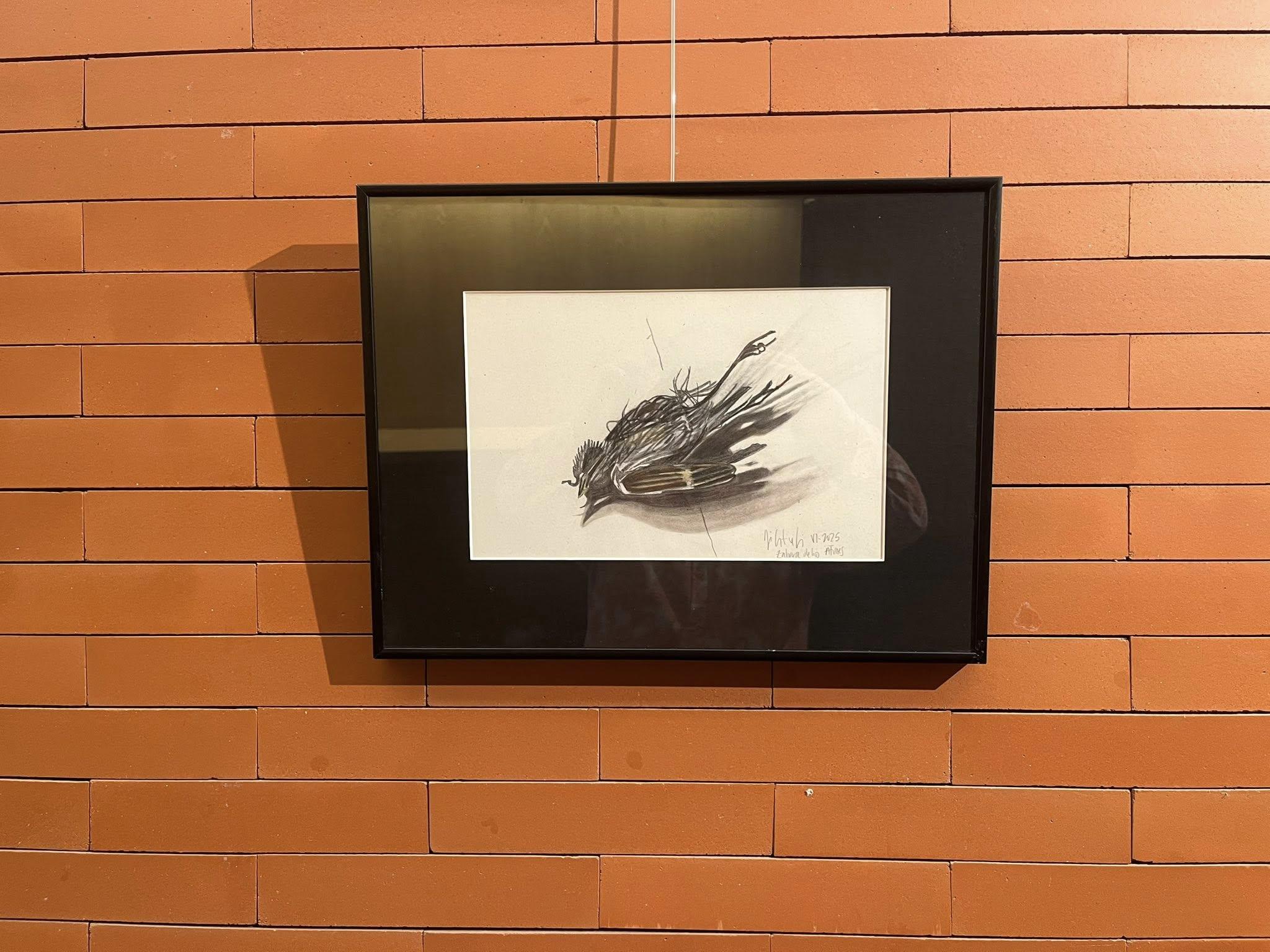 ob.imagen.Descripcion