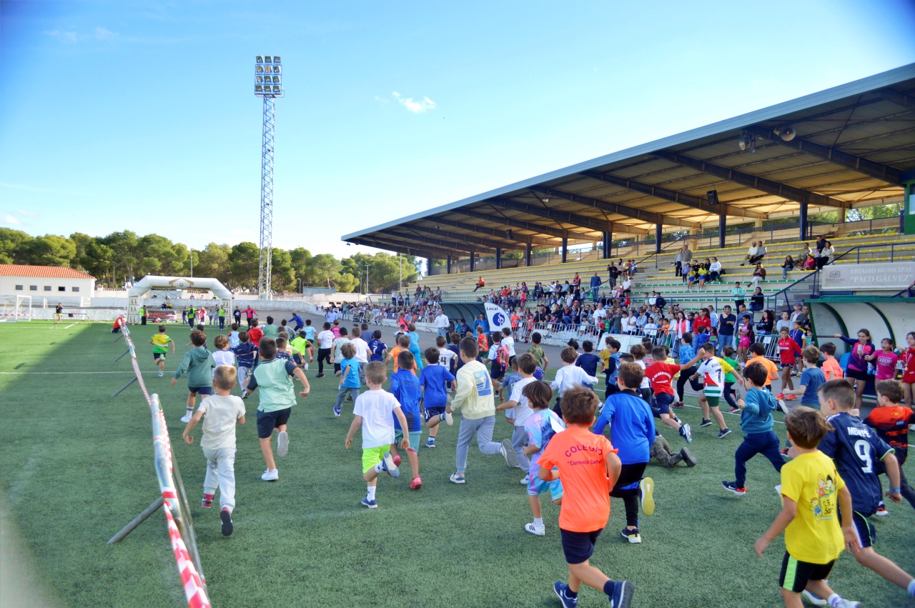 ob.imagen.Descripcion