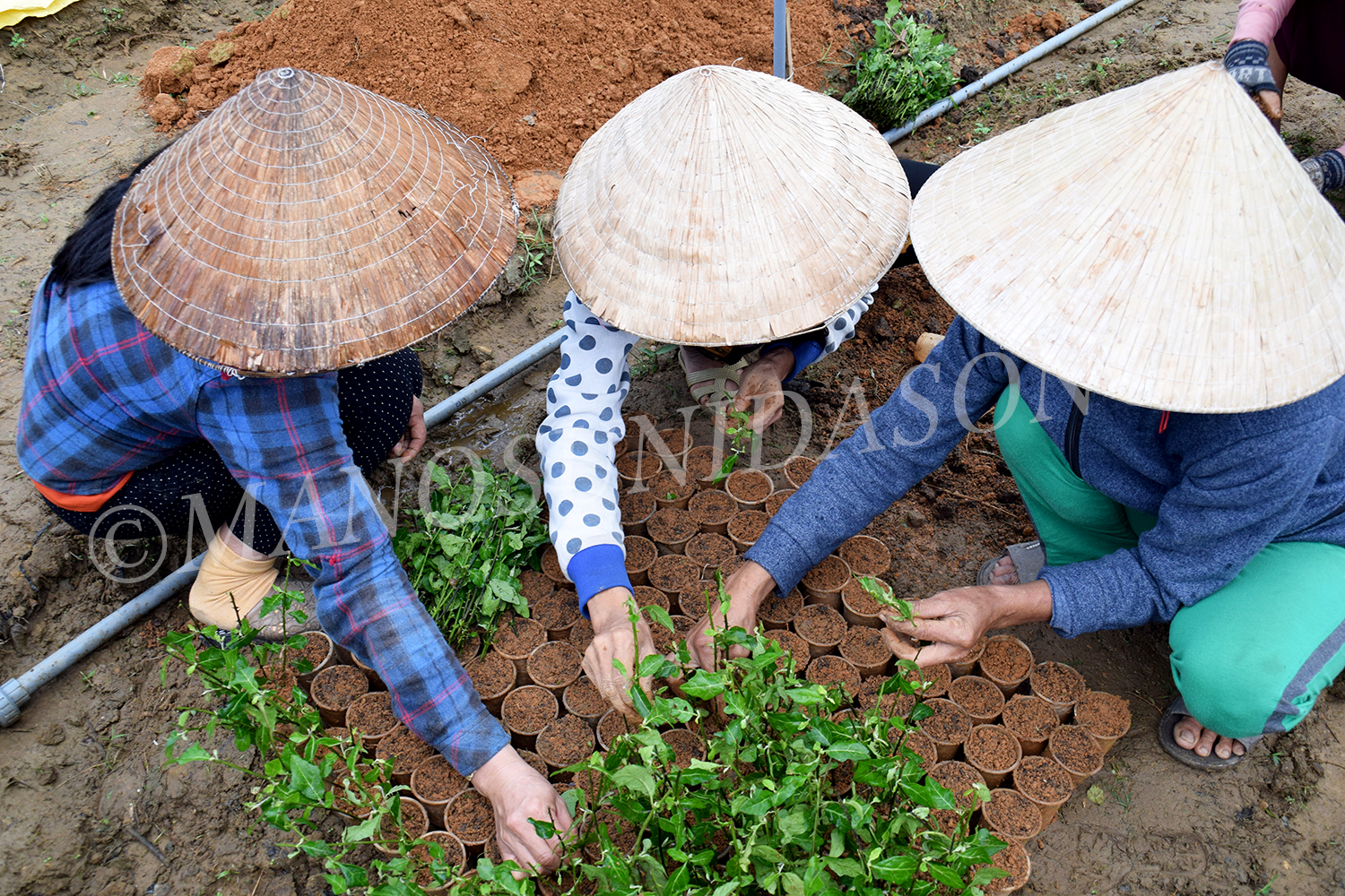 Foto de Patricia Garrido en Vietnam