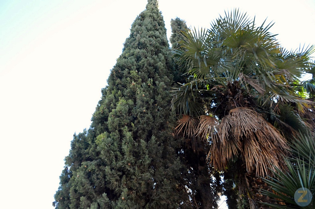 ob.imagen.Descripcion