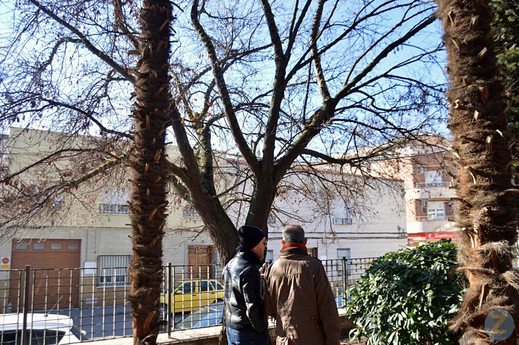 ob.imagen.Descripcion