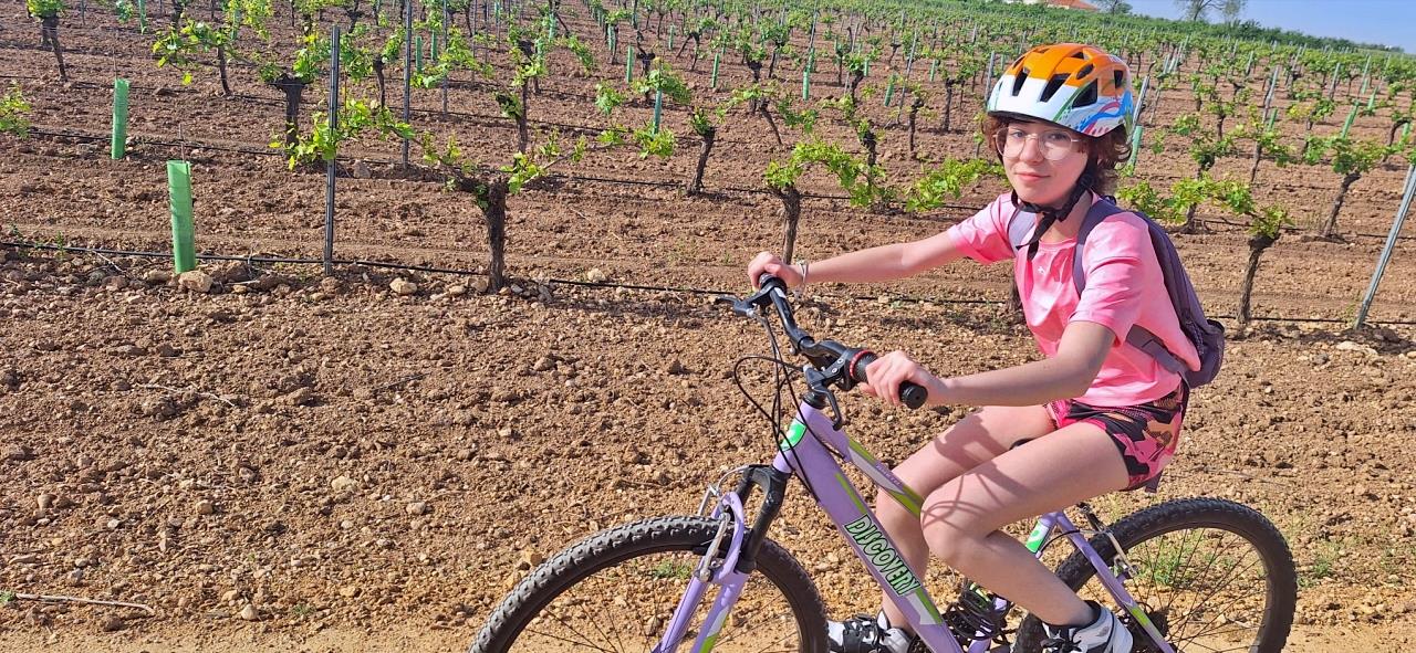 ob.imagen.Descripcion