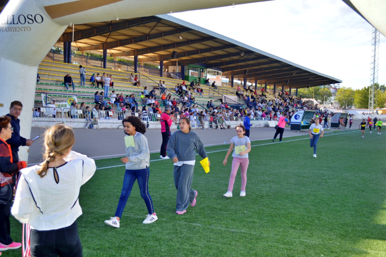 ob.imagen.Descripcion