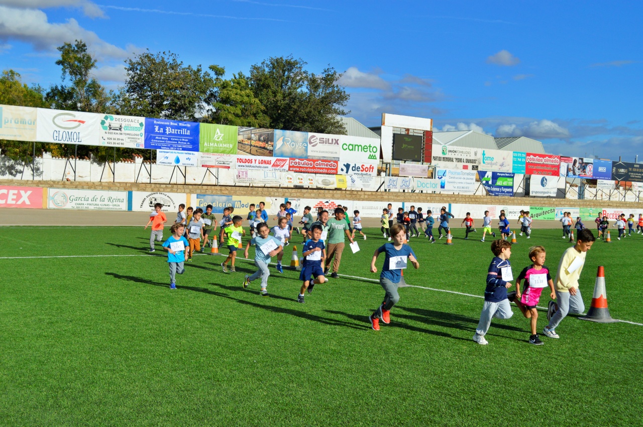 ob.imagen.Descripcion