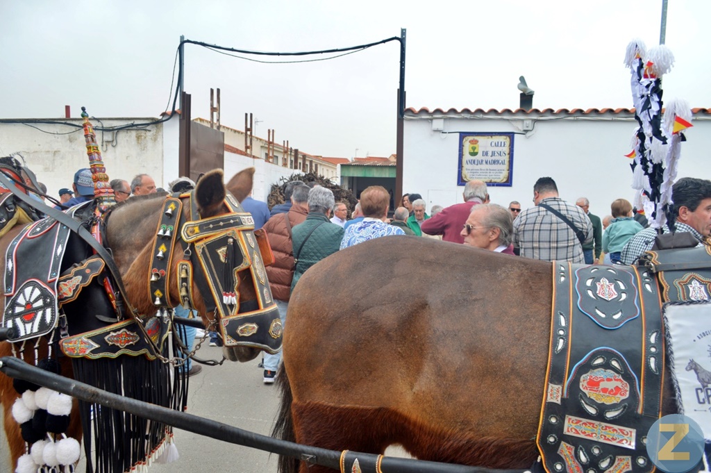 ob.imagen.Descripcion