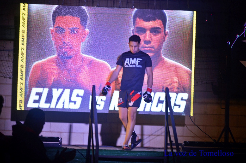 ob.imagen.Descripcion