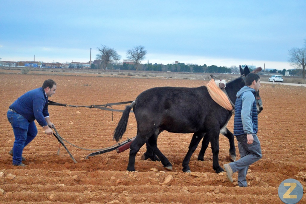 ob.imagen.Descripcion