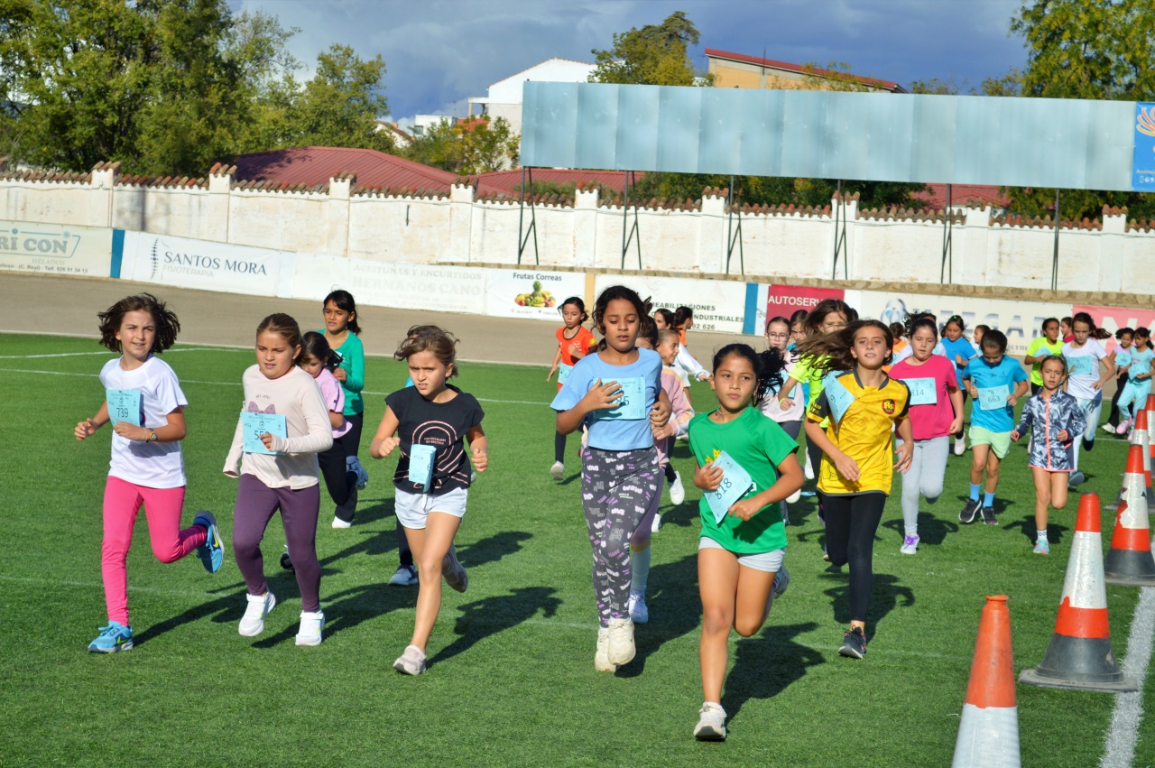 ob.imagen.Descripcion