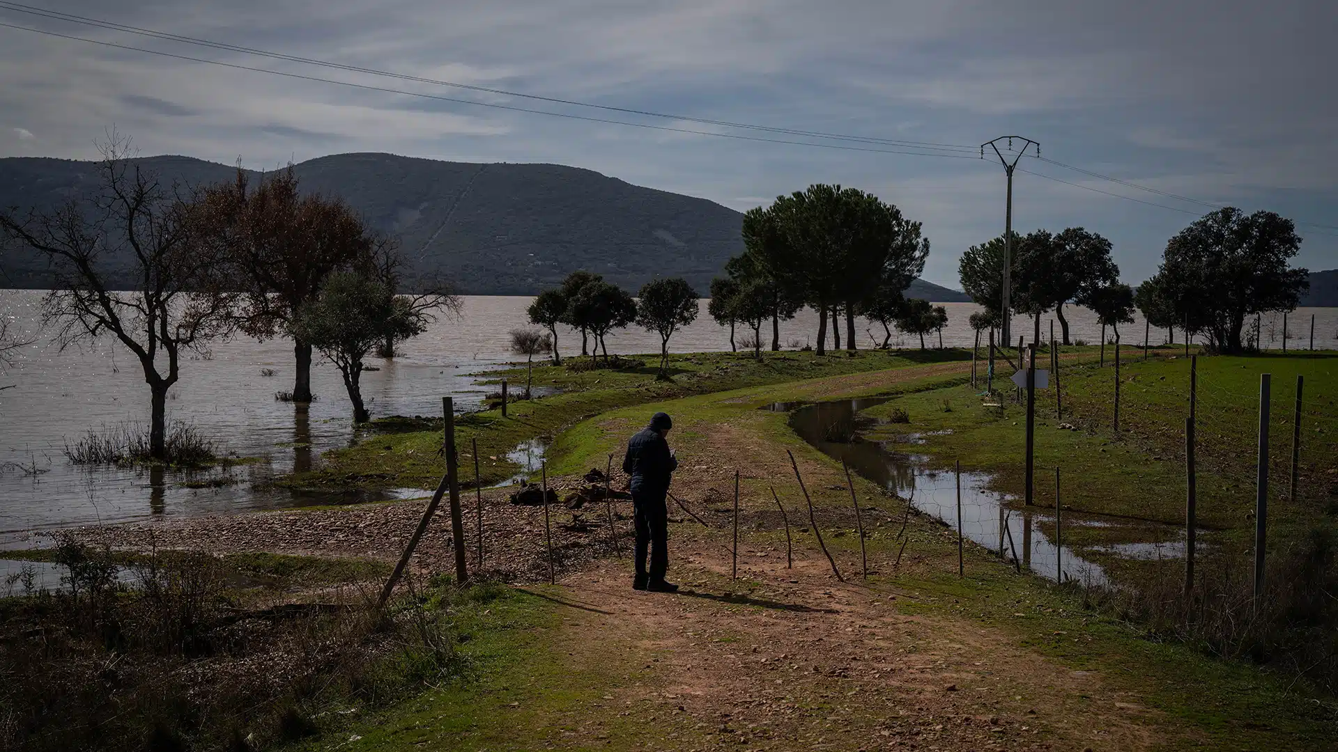 ob.imagen.Descripcion