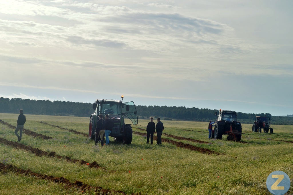 ob.imagen.Descripcion