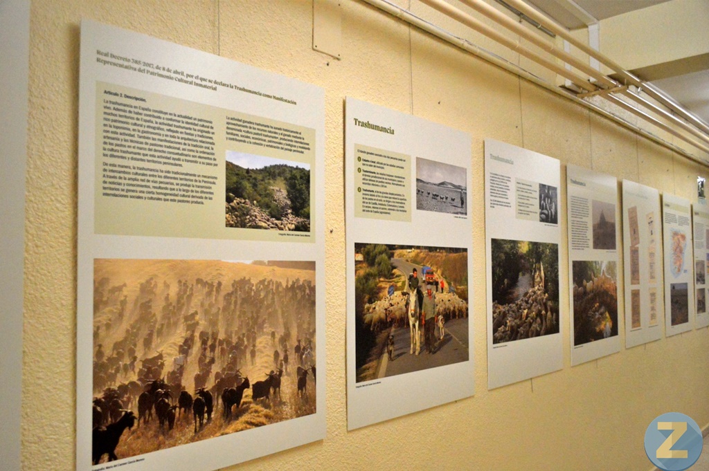 ob.imagen.Descripcion