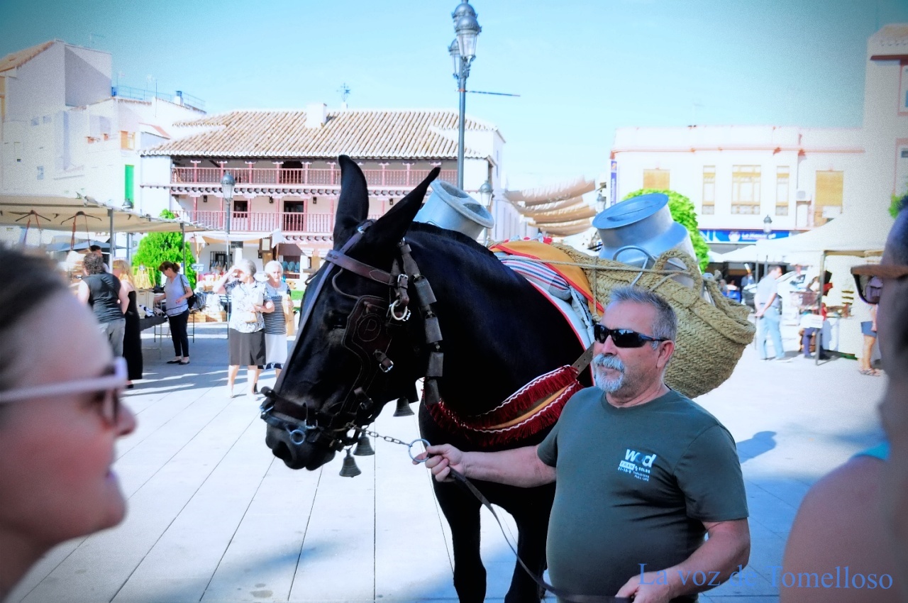 ob.imagen.Descripcion