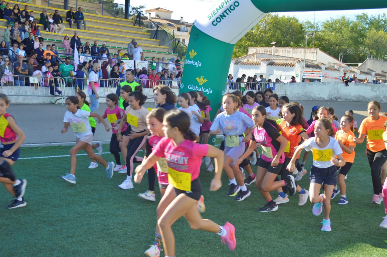 ob.imagen.Descripcion