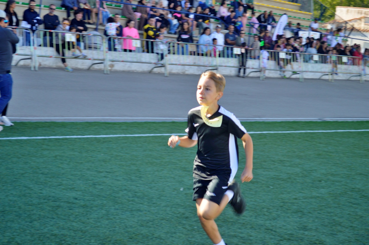 ob.imagen.Descripcion