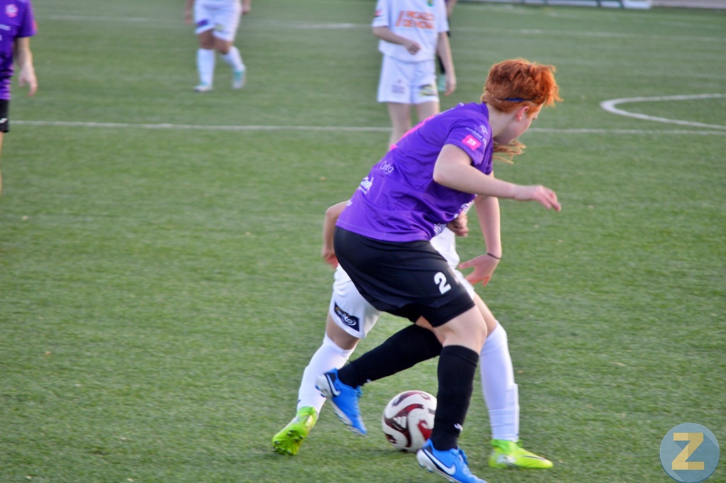 ob.imagen.Descripcion